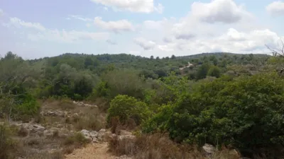 Finca rústica en calle Calig Castellon, nº 12589 photo 3