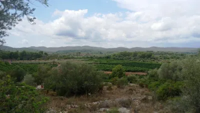Finca rústica en calle Calig Castellon, nº 12589 photo 4