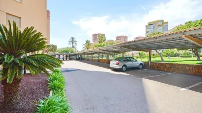 Apartment in Campoamor photo 18