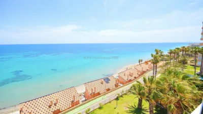 Apartment in Campoamor photo 4