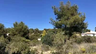 Terreno en venta en Costa Nova - Vista 2