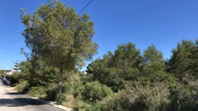 Terreno en venta en Costa Nova - Vista 4