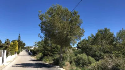 Terreno en venta en Costa Nova - Vista 5