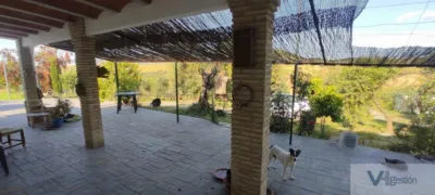 Rustic Finca in Palancar photo 4