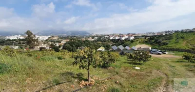 Rustic finca in Arroyo Pilones photo 11