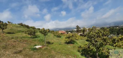 Rustic finca in Arroyo Pilones photo 12