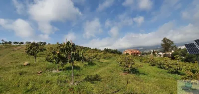 Rustic finca in Arroyo Pilones photo 13