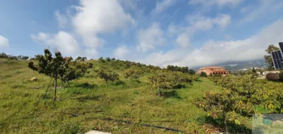 Rustic finca in Arroyo Pilones photo 14
