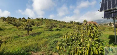 Rustic finca in Arroyo Pilones photo 15