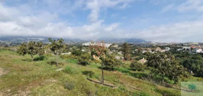Rustic finca in Arroyo Pilones photo 2