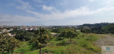 Rustic finca in Arroyo Pilones photo 3
