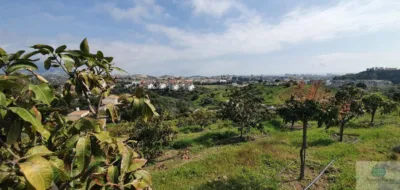 Rustic finca in Arroyo Pilones photo 4