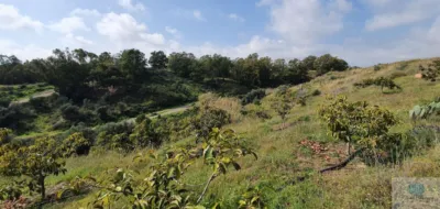 Rustic finca in Arroyo Pilones photo 5