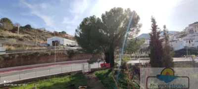 House in Albanchez photo 10