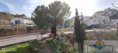 House in Albanchez photo 8