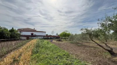 Rustic finca in Colmenillas photo 2