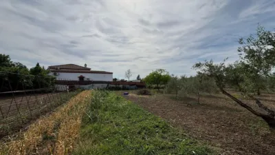 Rustic finca in Colmenillas photo 3