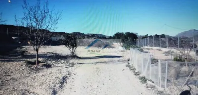 Terreno en venta en Hondón de Las Nieves - Vista 2