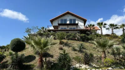 Finca rústica en venta en Urbanización Lomas del Flamenco - View 5