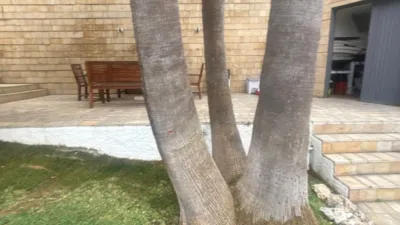 Apartamento en alquiler en Oropesa del Mar, Les Platgetes-Torre Bellver-La Renegà (Orpesa - Oropesa del Mar) de 1.000 €<span>/mes</span>