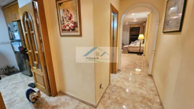 Piso – Elche, Sant Crispí, el Baix Vinalopó - Vista 3