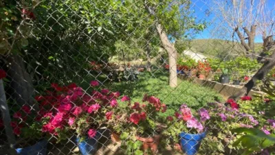 Rustic Finca for Sale in Venta de los Herradores photo 16