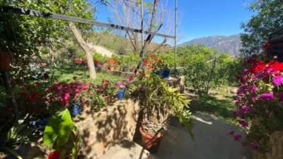 Rustic Finca for Sale in Venta de los Herradores photo 20