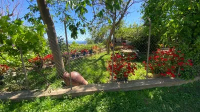 Rustic Finca for Sale in Venta de los Herradores photo 36