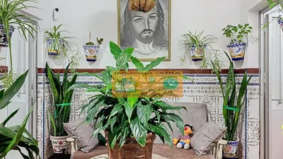 House in Las Torres photo 34