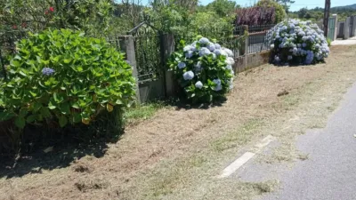 Rustic Finca in Beluso photo 12