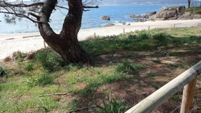 Rustic Finca in Beluso photo 13