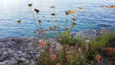 Rustic Finca in Beluso photo 27