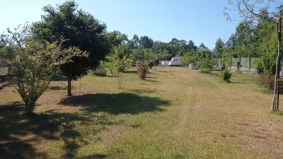 Rustic Finca in Beluso photo 38