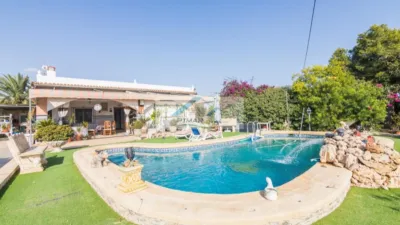 Piso – Elx / Elche, Algorós - Vista 2