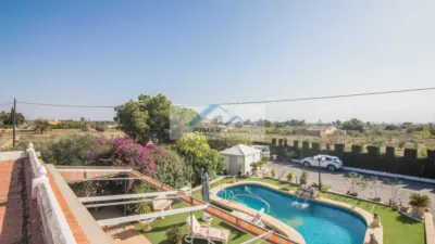 Piso – Elx / Elche, Algorós - Vista 3