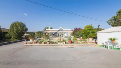 Piso – Elx / Elche, Algorós - Vista 4