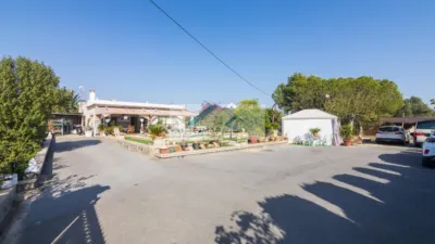 Piso – Elx / Elche, Algorós - Vista 5