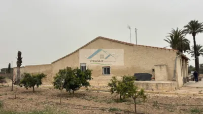 Casa – Elx - Elche - Vista 2