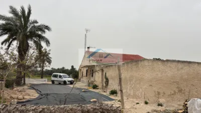 Casa – Elx - Elche - Més