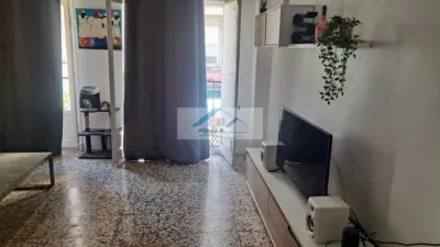 Pis – Elx - Elche - Vista 3