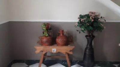 House in La Noria photo 4