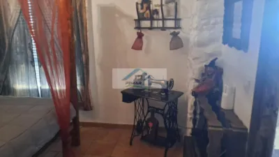 Apartment in Zona Kelme photo 15