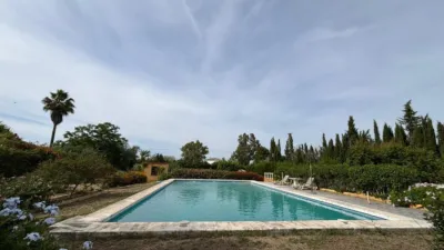 Rustic finca in La Matilla photo 16