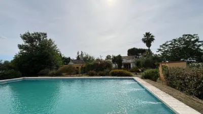 Rustic finca in La Matilla photo 17