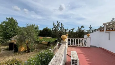 Rustic finca in La Matilla photo 18