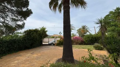 Rustic finca in La Matilla photo 19