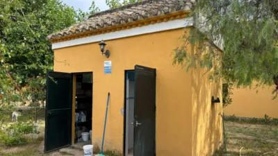 Rustic finca in La Matilla photo 20