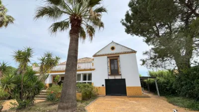 Rustic finca in La Matilla photo 2