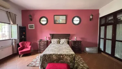 Rustic finca in La Matilla photo 8