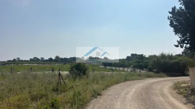 Terreno en venta en La Marina - Vista 4
